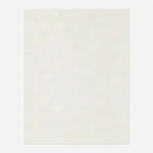 Carla Arocha, Untitled (White Abstraction), 2000, gouache on paper