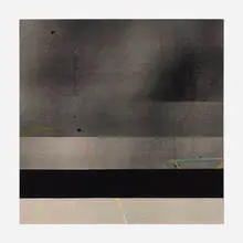 Facundo Argañaraz, Swarm Tropical, 2012, acrylic and screenprint on canvas