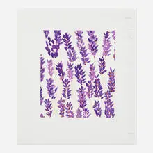 Wallflower 17 by Donald Sultan, 2008, screenprint in colors, sold Dec 2023