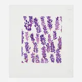 Donald Sultan, Wallflower 17, 2008, screenprint in colors
