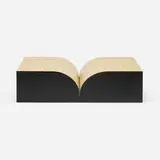 Richard Artschwager, Book