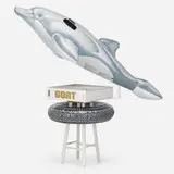 Jeff Koons, GOAT: A Tribute to Muhammed Ali - Champs Edition, 2004, bound printed paper, inflatable dolphin and tire, stool, silver gelatin print