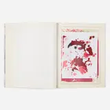 Christopher Wool, 2004 Drawings of Beer on the Wall artist book, 2004, archival inkjet print, printed paper