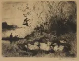 Anthony Thieme, Ducklings, DUCKLINGS, signed lower right, etching.