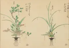 Plants by Anonymous, Two ink and color on paper, sold Sep 2016