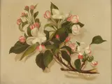PINK DOGWOOD, inititaled HJC lower right by Continental School, Oil on canvas, sold Sep 2016
