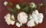 Guy Steele Fairlamb, Peonies