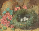 William Henry Hunt, Bird'S Nest with Primroses, Watercolor and pastel