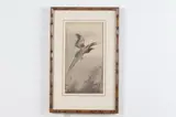 Ohara Koson, Flying Pheasant, Ink and color woodblock prints on paper, signed and sealed