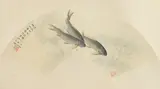 Wu Qingxia, Fish, Ink and color on paper, dated Jiashen year, signed, sealed