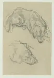 Lee Newman, Dogs, Pencil