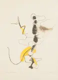 Sylvia Wald, Stone Flower, Color lithograph