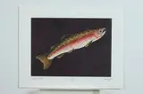 William R. Dunlap, Angler Trout, ANGLER TROUT, signed, titled and numbered 19/30 in pencil lower margin.