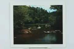 William Christenberry, Cahaba River, Iris print