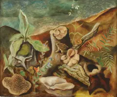 Joseph Paul Vorst, Flora & Fauna, Oil on board