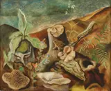 Joseph Paul Vorst, Flora & Fauna, Oil on board