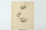 Allyn Cox, Study of Hands of George Washington and Thomas Johnson, PROVENANCE: Study for "George Washington Laying the Cornerstone
