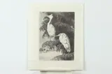Benson Bond Moore, Egrets at Home, Etching