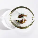 Murano Glass Pesce Ashtray, circa 1950, unsigned, lg. 6 1/4 in. (16 cm).