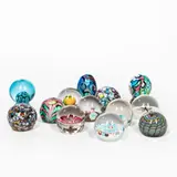 Thirteen Murano Glass Paperweights, unsigned, one murrine with cane dated 1887, one with Fratelli Toso foil label, three with Koscherak Brothers foil labels, ht. to 4 3/8 in. (11 cm)., unsigned, one murrine with cane dated 1887, one with Fratelli Toso foil label, three with Koscherak Brothers foil labels, ht