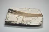 Claude Champy, Plat