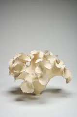 Ursula Morley Price, Japanese flange pot, 1986