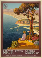 Luigi Bonamici, NICE, PLM
