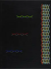 Diango Hernández, Ohne Titel, 2008, Acryl auf Leinwand