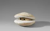Cosima von Bonin, Scallop (Ghost Version)