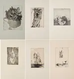 Horst Janssen, Hokusai's Spaziergang. Traktat über die Herstellung einer Radierung, 1971/72, Mappenwerk mit 46 Radierungen auf Bütten