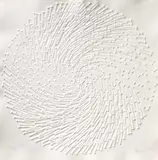 Günther Uecker, Ohne Titel (Spirale)