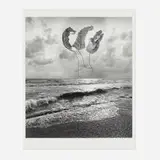Jerry Uelsmann, Untitled (Leaves on Beach), gelatin silver print