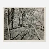 Harry Callahan, Eleanor, Chicago (from the Student Independent 2 portfolio)