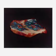 Huang Yan, Meat Shanshui No. 1, 2000, C-print