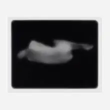 Bill Jacobson, Song of Sentient Beings #1617, 1995, gelatin silver print