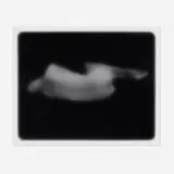 Bill Jacobson, Song of Sentient Beings #1617, 1995, gelatin silver print