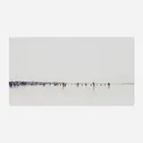 Sze Tsung Leong, Sangam II, Allahabad, 2008, chromogenic print mounted to aluminum