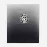 Adam Fuss, Ark, 2005, gelatin silver photogram mounted to Dibond