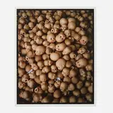 Xing Danwen, Duplication, Number 1, C-print