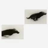 John Divola, Dogs Chasing My Car in the Desert (diptych)