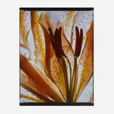 Carol Henry, Lily Passage, 2005, Florachrome monoprint