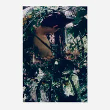 Guy Walker, Curving Patterns of a Leaf, 2001, digital pigment print face-mounted to acrylic