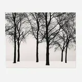 Harry Callahan, Chicago
