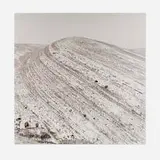 Lynn Davis, Upthrust, Palmyra, Syria, selenium and gold toned gelatin silver enlargement print