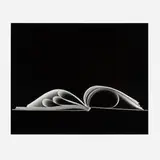 Kenneth Josephson, Chicago, 1988, gelatin silver print