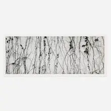 Michael Smith, Broward County, Florida, 1989, silver chloride contact print