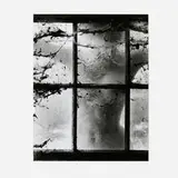 Wynn Bullock, Nude behind Cobwebbed Window
