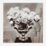 Keith Carter, Roses