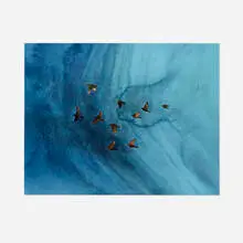 Joseph Raffael, Birds in Flight, 1980, watercolor on paper
