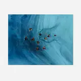 Joseph Raffael, Birds in Flight, 1980, watercolor on paper